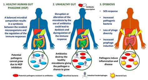 Gastrointestinal Diseases