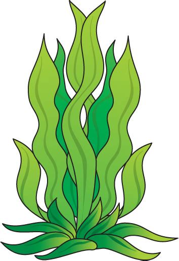 Free Algae Cliparts, Download Free Algae Cliparts png images, Free ...