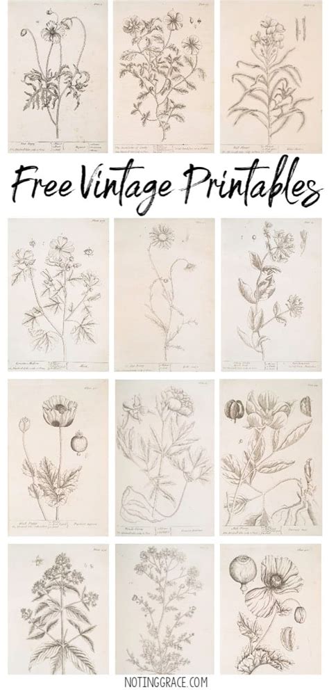 Free Printable Vintage Pictures / Remodelaholic 20 Free Vintage Map ...