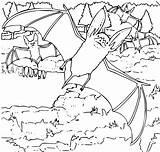 Free Printable Bat Coloring Pages For Kids sketch template