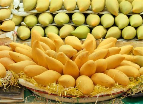 Mangoes in market stock photo. Image of healthy, colorful - 57562024