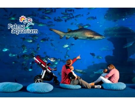 Palma Aquarium - Discount entrance tickets