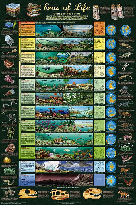 Geological Time Scale - Info-filled poster by Feenixx Publishing