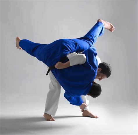 Black belt judo Stock Photos, Royalty Free Black belt judo Images ...