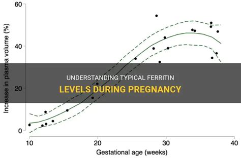 Understanding Typical Ferritin Levels During Pregnancy | ShunChild