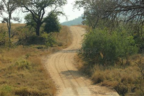 Dirt road in Africa stock photo. Image of cellphone - 211743650