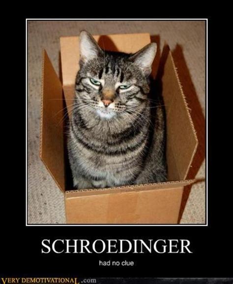 [Image - 344702] | Schrodinger's Cat | Know Your Meme