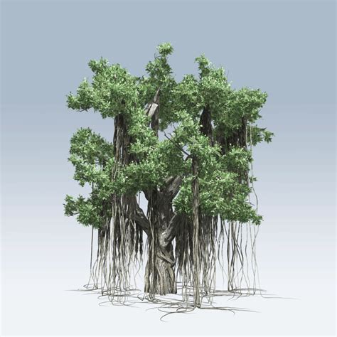 Chinese Banyan Tree (v6) – SpeedTree Store