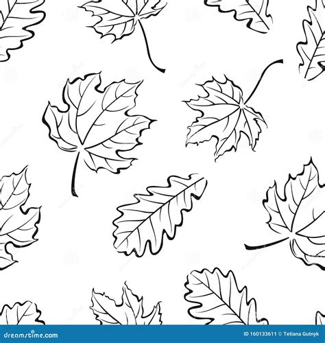 Autumn Leaves Black and White Pattern. Vector Illustration of Falling Leaves of Oak and Maple ...