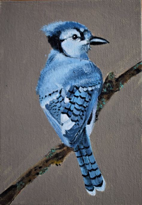 Blue jay acrylic painting, on canvas panel 5"x7" small artwork, bird painting on a branch by ...