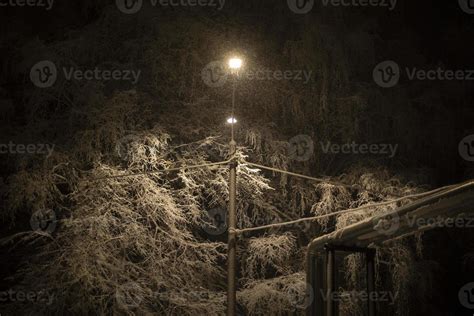 Snow at night in trees. 17455284 Stock Photo at Vecteezy