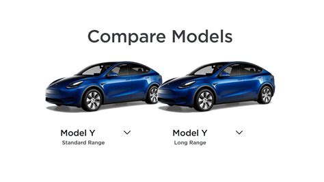 Model Y Long Range Vs Performance 2025 - Hatty Marney