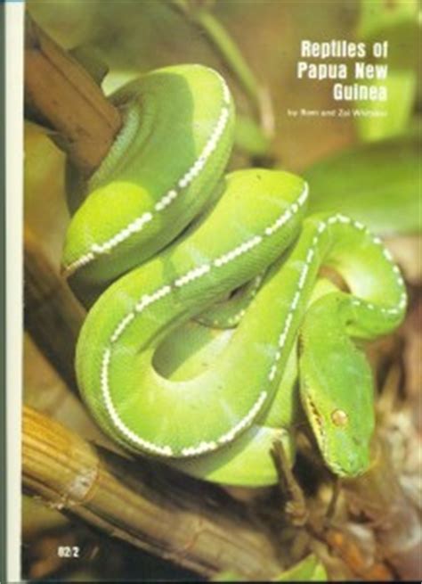 A look at Reptiles of Papua New Guinea | Bomai Cruz