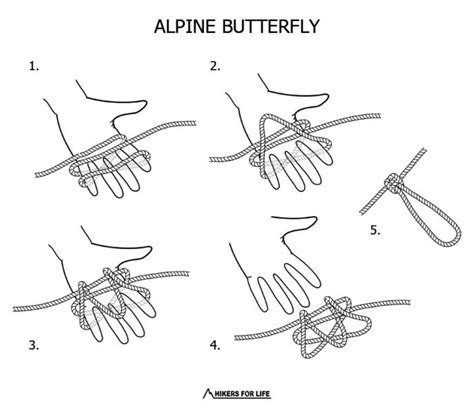 Alpine Butterfly - Hikers For Life Blog