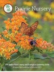 2019 Prairie Nursery Catalog - An inspiring and diverse selection of ...