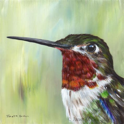 15+ Hummingbird Acrylic Painting