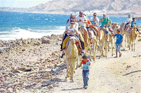 Dahab beaches reopen safely Wednesday after shark appearance Tuesday ...