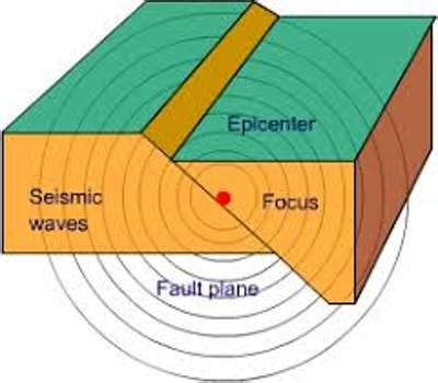 Epicentre - QS Study