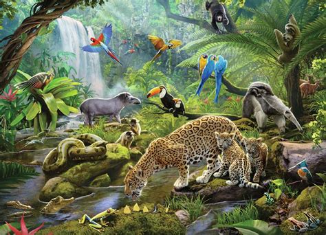 Rainforest Animals | Children's Puzzles | Jigsaw Puzzles | Products | Rainforest Animals