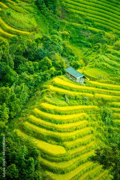 Beautiful view of Rice terrace at Hoang Su Phi. Viewpoint in Hoang Su ...