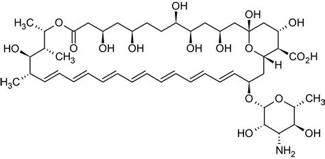 Amphotericin B (aqueous), polyene antifungal antibiotic (CAS 1397-89-3 ...