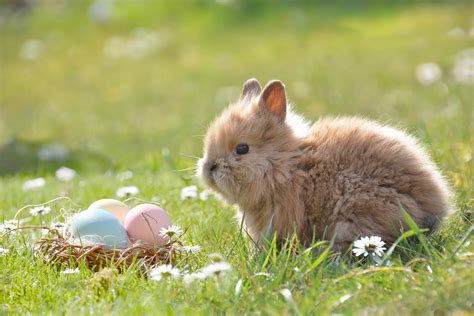 Easter in France: French Easter Traditions - My Private Paris