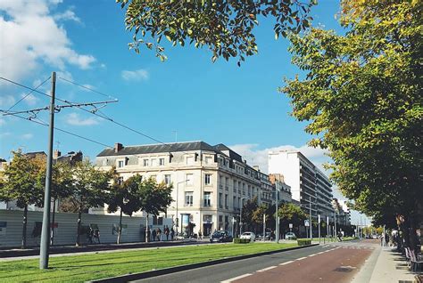 architecture, buildings, car, pavement, road, town, tree, urban | Piqsels