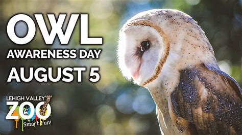 Owl Awareness Day Lehigh Valley Zoo, Schnecksville, PA August 5 Lehigh ...