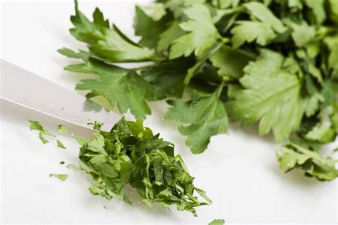 Chopped parsley stock image. Image of tasty, freshness - 9154991