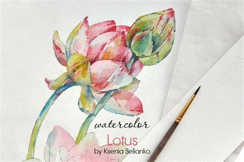 Watercolor Lotus ~ Illustrations ~ Creative Market