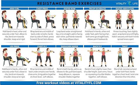 Stretching Exercises For Seniors Pdf / 18 Chair Exercises For Seniors ...