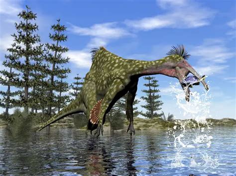 What Was The Biggest Omnivore Dinosaur? - Dinosaur Facts For Kids