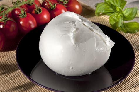 Mozzarella Fior di Latte - Prestigio & Tradición