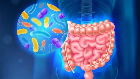 Pancreatic beta-cells reactivate to produce insulin