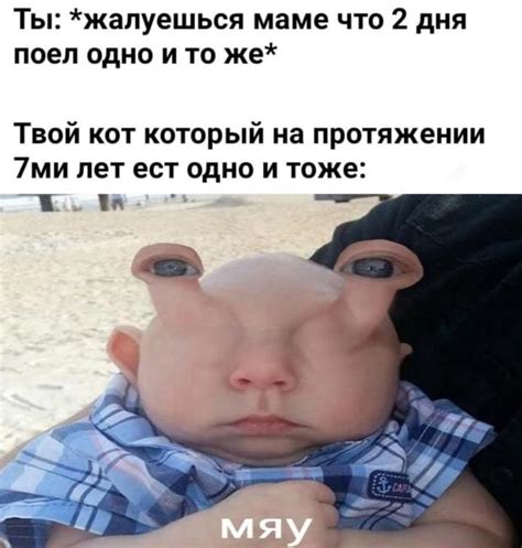 мяу mem | Jank Boteko | Know Your Meme