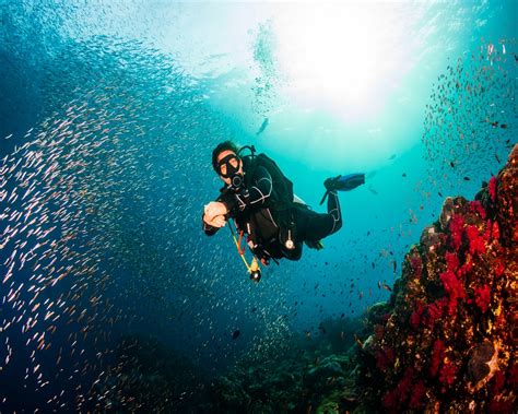 Scuba diving course in Tulamben, Bali | OutdoorTrip