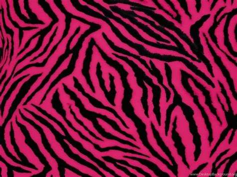 Pink Zebra Wallpapers - Top Free Pink Zebra Backgrounds - WallpaperAccess