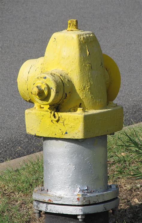 1242x2208 wallpaper | yellow and gray fire hydrant | Peakpx