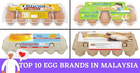 Top 10 Egg Brands in Malaysia | My Weekend Plan