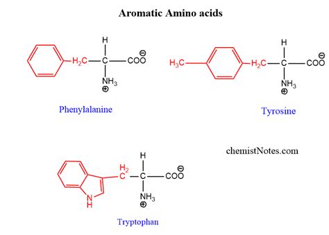 Classification of Amino acids - Chemistry Notes