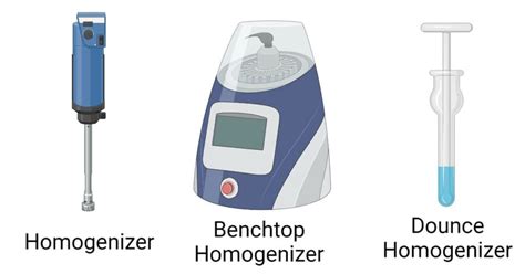 Homogenizer- Principle, Procedure, Parts, Types, Uses, Examples