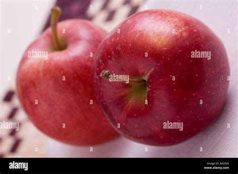 Fresh red prince apples Stock Photo - Alamy