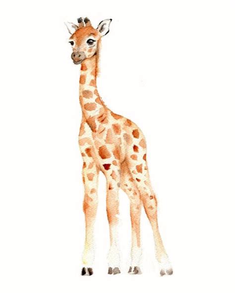 baby giraffe watercolor head - Google Search | Giraffe art, Giraffe ...