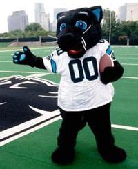 Sir Purr | Carolina panthers, Carolina football, Panthers football