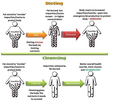 Fiber First for Weight Loss (and Everything Else)