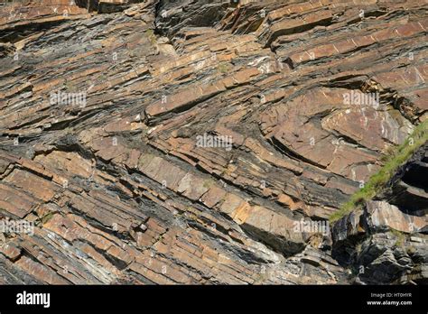 Chevron folds of sandstone and shale rock layers in Millook Haven ...