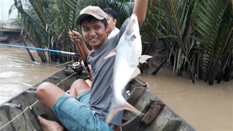 CÂU CÁ TRA SÔNG VÀ MỒI CÂU CÁ TRA [ LẦY LỘI LẮM ] | HUYNH KHOA FISHING - YouTube