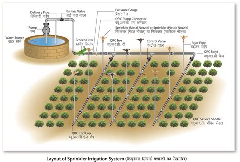 Sprinkler System Layout Diagram