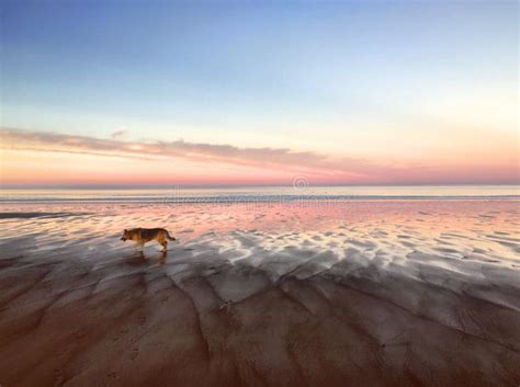 Scottish Beach stock image. Image of walks, beach, looks - 76533241