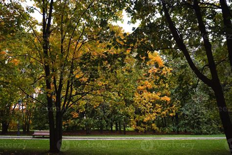 Trees in Autumn city park 11412506 Stock Photo at Vecteezy